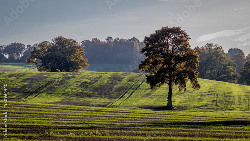 Kentish Farmland with Autumn Colours
