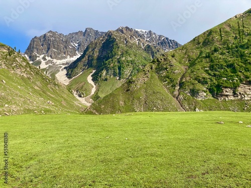 landscape in the summer with mountains 