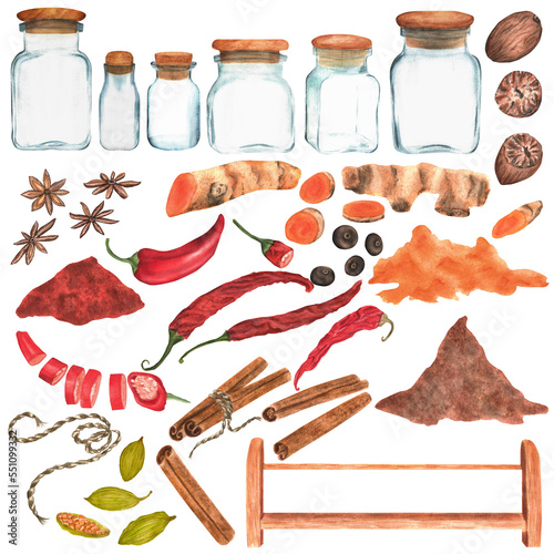 Cinnamon, turmeric, nutmeg, chili, paprika, anise, cardamom. Watercolor spices set. Hand-drawn watercolor illustration.