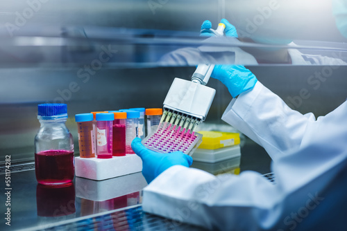 Scientist use multi pipette with sample preparation in the laboratory fume hood for bioassay of in vitro cells on microplate, 96 well in the laboratory. Medicinal, Medicine, Biochemistry research.