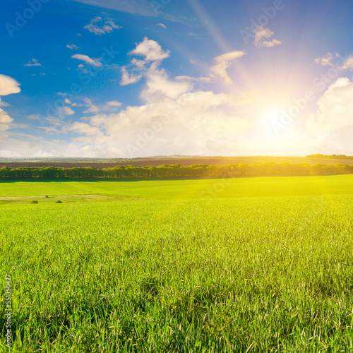 Green field and bright sunrise over the horizon.