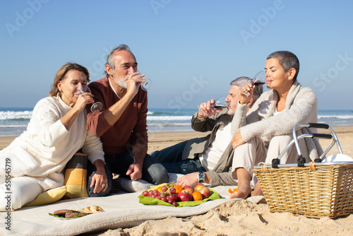 Four senior friends drinking wine at the beach on sunny day while having picnic and sitting on blanket on sandy seashore. Two middle-aged couples celebrating together. Friendship, leisure concept
