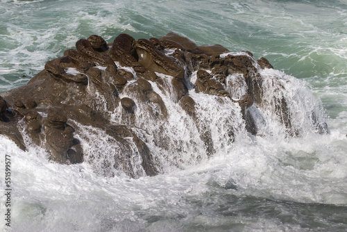 waves washing over unusual rock formations at Cape Arago, Oregon, US