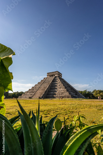 Photo of the pyramid in Chichen Itza taken through the plants.