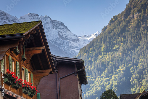 Flowers in rustic chalet at springtime with mountains, Interlaken, Switzerland