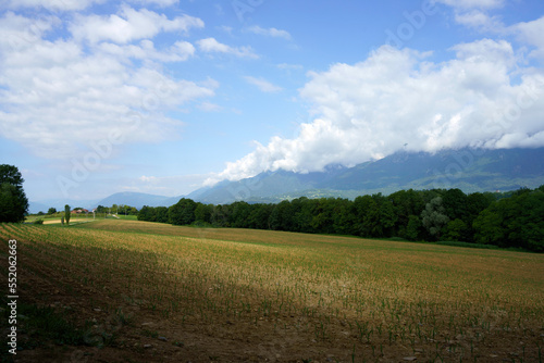 Road near Villiago and Sedico, Belluno province