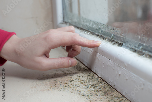 Black mold fungus growing on windowsill. Dampness problem concept. Condensation on the window.