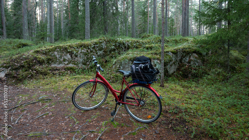 cycling in the forest