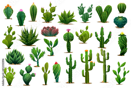 Cartoon prickly succulent cactus plants and desert flowers. Isolated vector green cacti plants of aloe, agave and opuntia with blossom flowers, prickly saguaro or peyote and tropical cactus