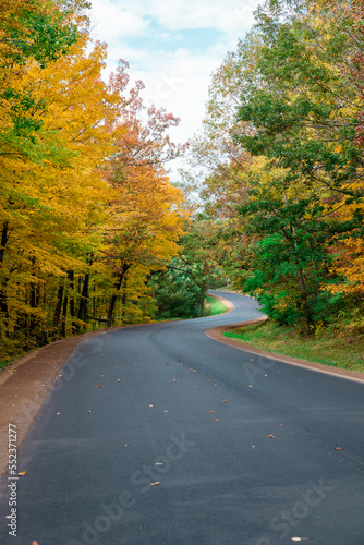 Road in Autumn Forest
