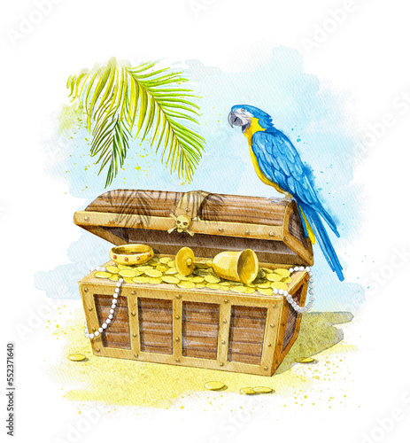 Watercolor blue parrot and open chest with pirate treasures on beach isolated on white background. Hand drawn illustration sketch