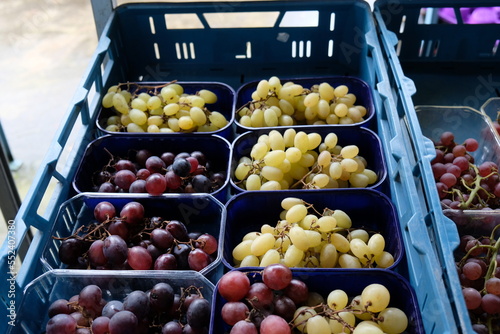 FU 2021-12-05 Gartenoase 200 In einer Kiste liegen viele Weintrauben