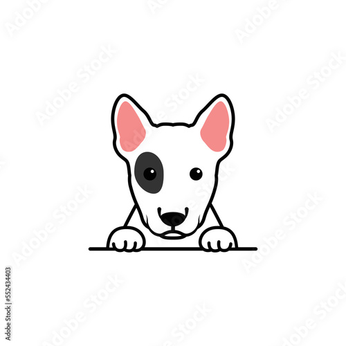 Cute bull terrier puppy cartoon, vector illustration