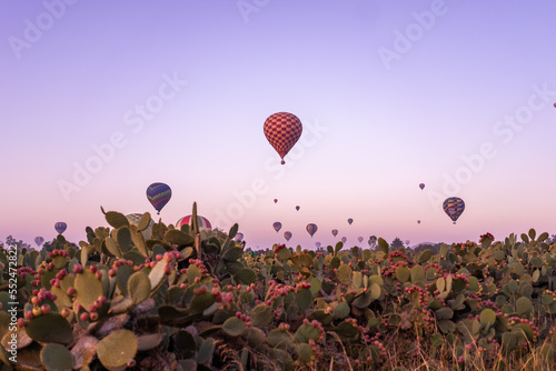 Globos aerostáticos volando sobre zona arqueológica de México al amanecer en Teotihuacán