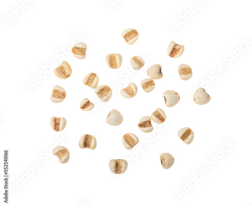 Job's tears isolated on transparent png