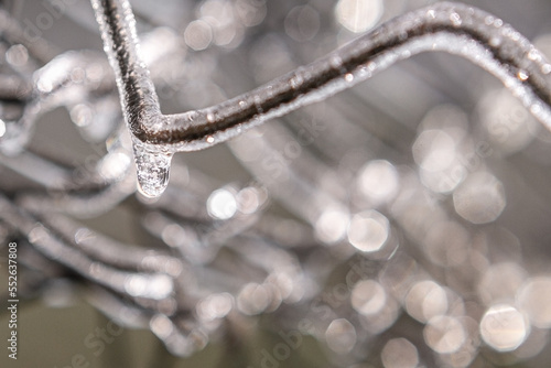 Frozen iron mesh fence, winter, ice, macro, december, january