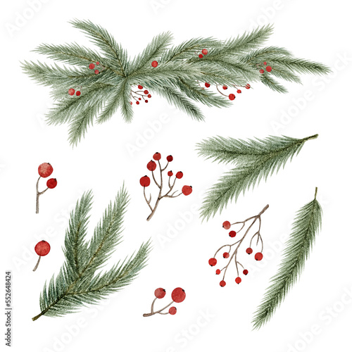 Watercolor hand painted set of tender fir branches and bright red berries