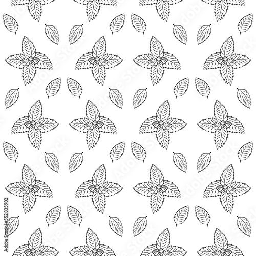 Stock vector mint leaves outline doodle seamless pattern