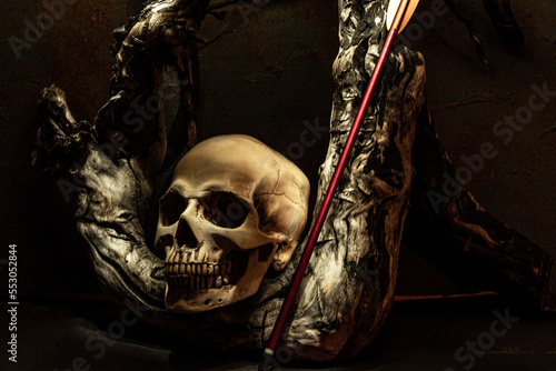 Human skull and old wooden branch. Skull and arrow. Still life in a low key with a skull. Composition with a skull.