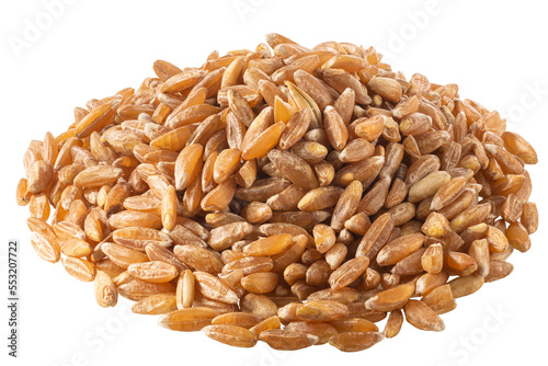 Pile of spelt, farro or einkorn hulled wheat, isolated png