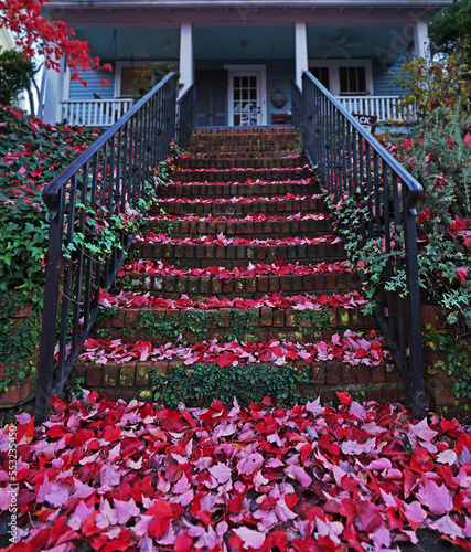 Red Autumn leaves on stairs of a home in the historic Oakwood neighorhood of Raleigh , NC