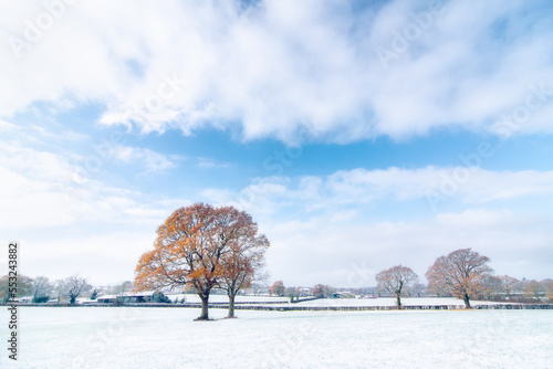 Sussex Field in Snow 