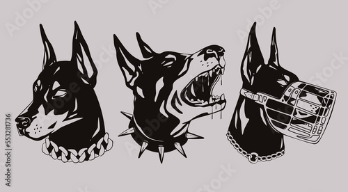 Portraits of a Doberman dog. Set of three various heads. Dog with spiked and chain collar, dog with muzzle. Calm and Barking doberman. Hand drawn Vector illustration. Print, dog training logo template