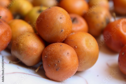 Indian Jujube or ber or berry. A Ziziphus mauritiana, also known as Ber, Chinee Apple, Jujube, Indian plum and Masau is a tropical fruit tree species belonging to the family Rhamnaceae.