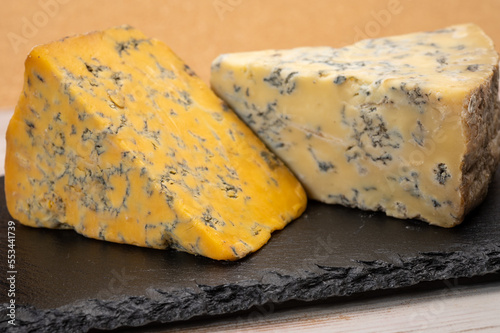 Cheese collection, English old shropshire blue and stilton blue cheeses