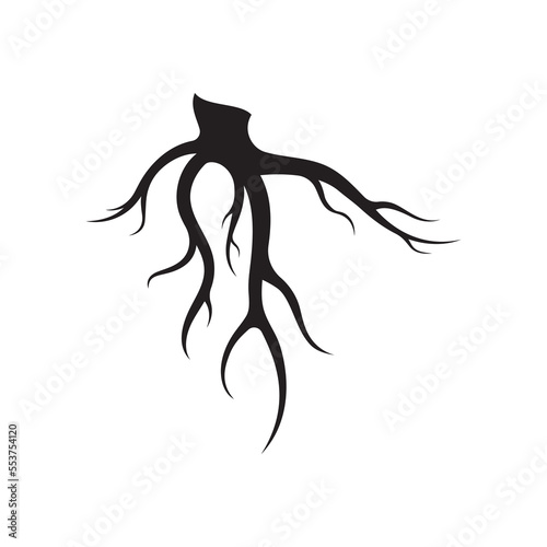 Single and fibrous tree root natural abstract logo creative template design.