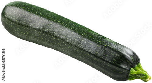 Ripe green fresh zucchini vegetable