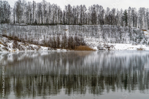 A mirror image of bare trees on a pond in the early frosty morning.