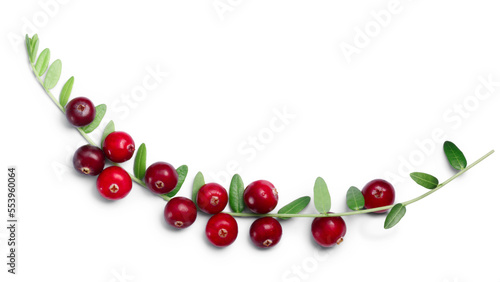 Cranberries (fruits of Vaccinium oxycoccus) with leaves, top view isolated png