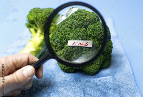 Examining a broccoli with a magnifying glass for bacteria, e coli food poisoning