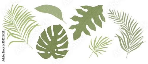 tropical leaves icons on transparent background