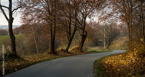 Kręta , asfaltowa droga biegnąca w dół wzgórza . Po bokach rosną drzewa a na horyzoncie widoczne miasto ( Ostrowiec Świętokrzyski ) . Droga wśród jesiennych wzgórz .
