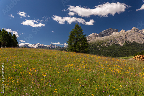 Dolomiti Alps in Alta Badia landscape view