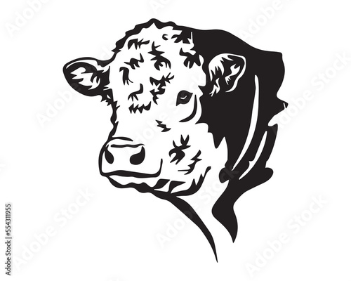 Hereford cattle cow vector file download | Any changes can be possible