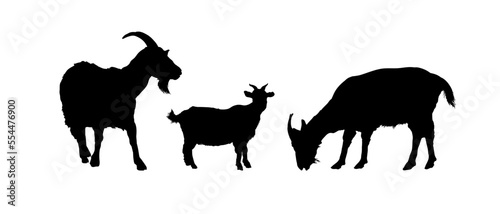 set of goat silhouettes