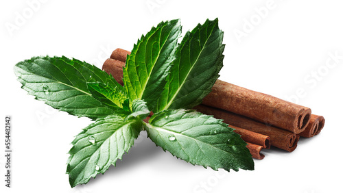 Spearmint leaves with cinnamon sticks isolated png