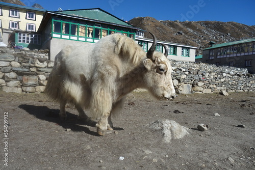 Everest Three Passes