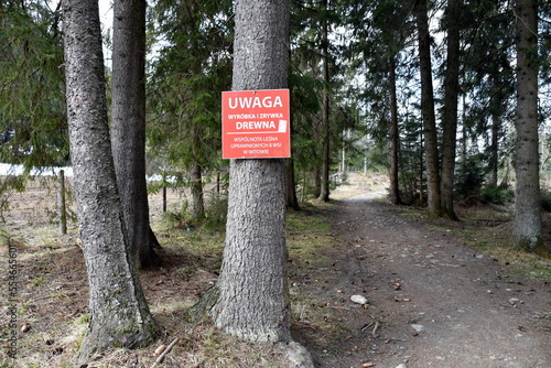 Wycinka drzew w Tatrach, Park Narodowy, las, TPN, 