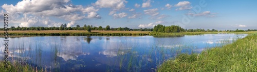 Summer rushy lake panorama view with clouds reflections, Ukraine.