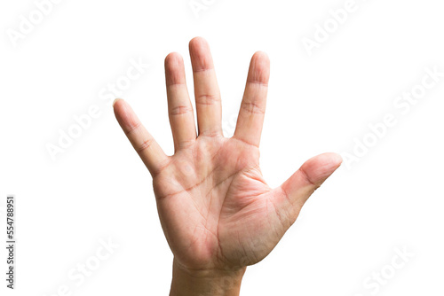 Male hand showing five fingers, front view of hand palm. Isolated.