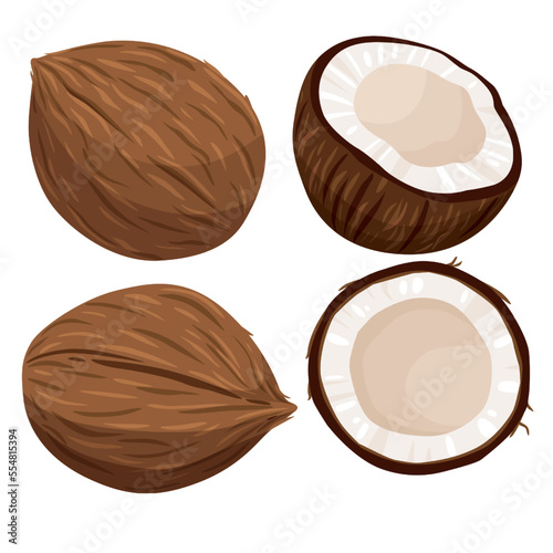 Coconuts and coconut half with leaves isolated on a white background. Vector illustration cartoon flat coconut icon isolated on white background.