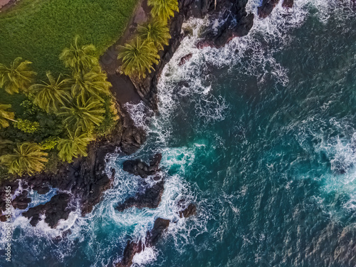 Aerial drone view of rocky coast with palms and blue ocean