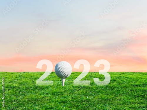Golf ball in the field, wishing happy new year, happy new year eve and new year wishing art.