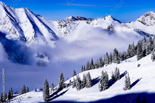 Snow Capped Cottonwood Canyon