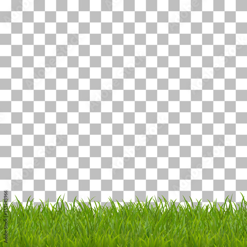 Grass horizontal frame on bottom