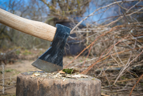 Hatchet or ax standing upright in a tree stump